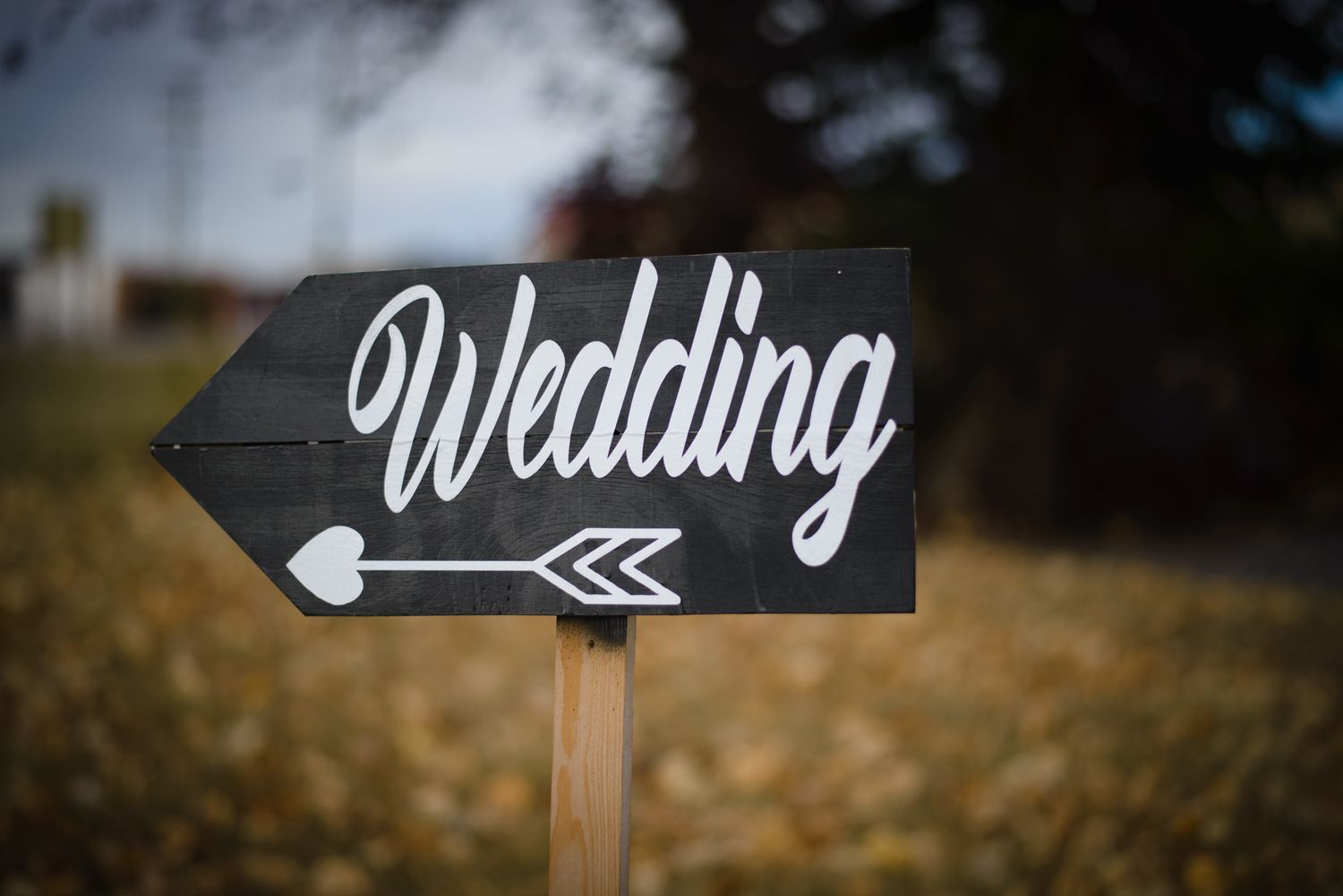 Black wooden directional sign with white script lettering pointing to a wedding.