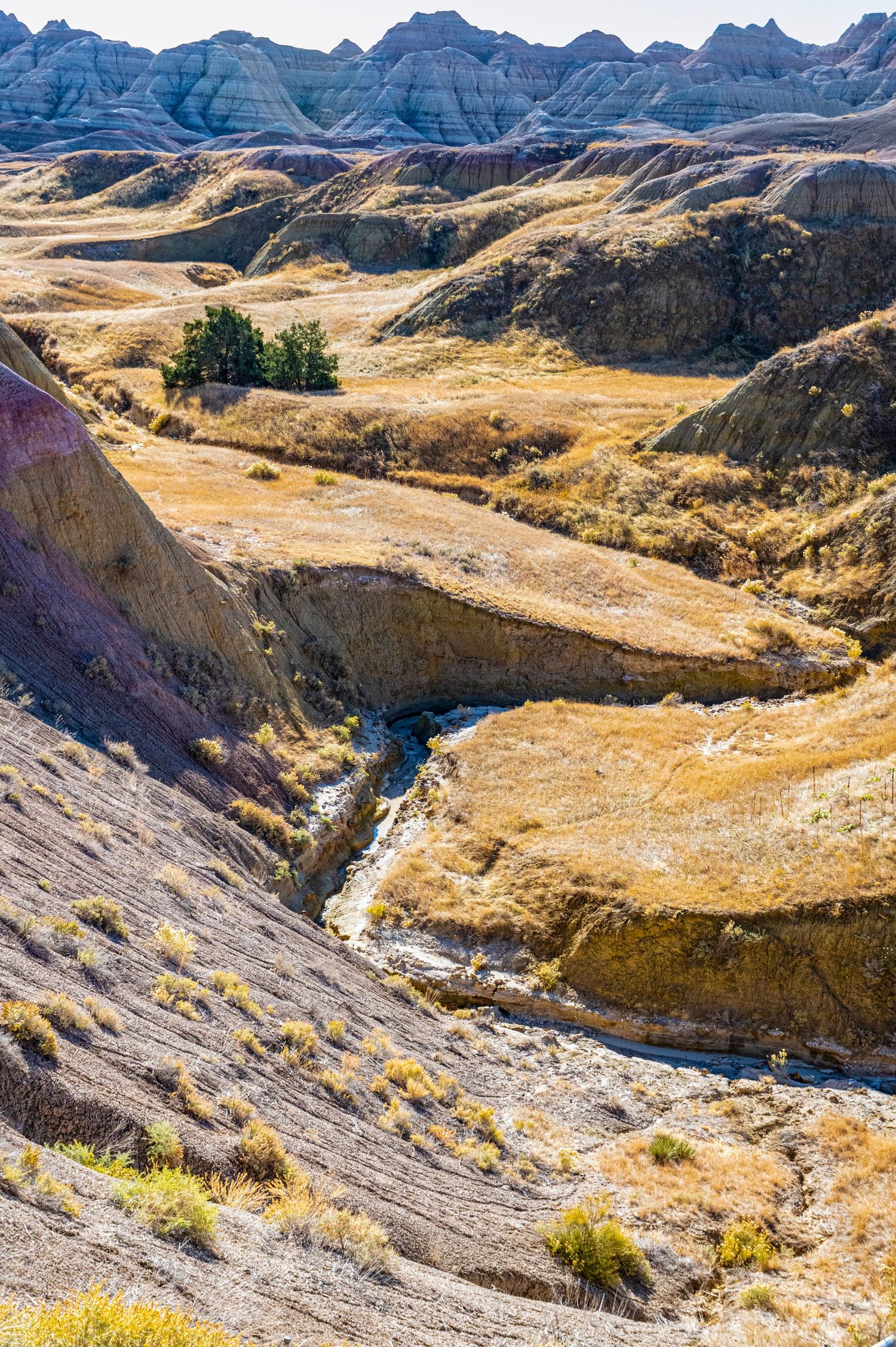 Winding canyon with layered rock formations and sparse vegetation in the Badlands landscape.