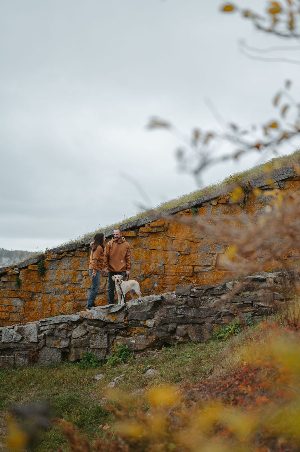 A small dog stands atop a rustic stone wall against an overcast sky in a rural landscape.