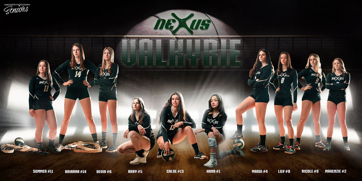 Sports Banner team Pictures Phoenix Arizona by Anjeanette Photography Graduation High School Seniors AZ league media day