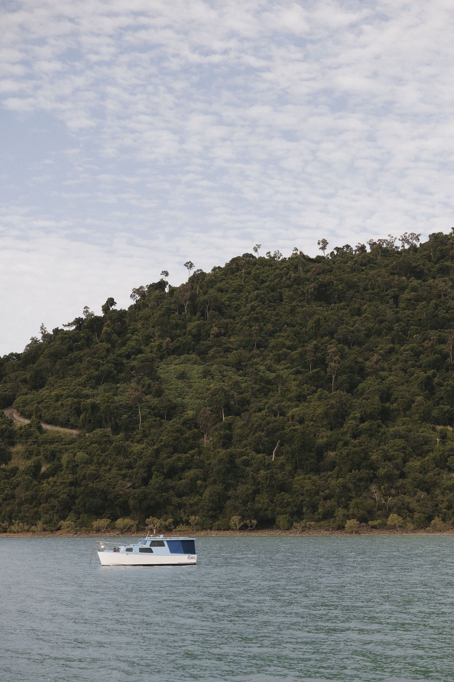 Small white boat cruising near a densely forested hillside.