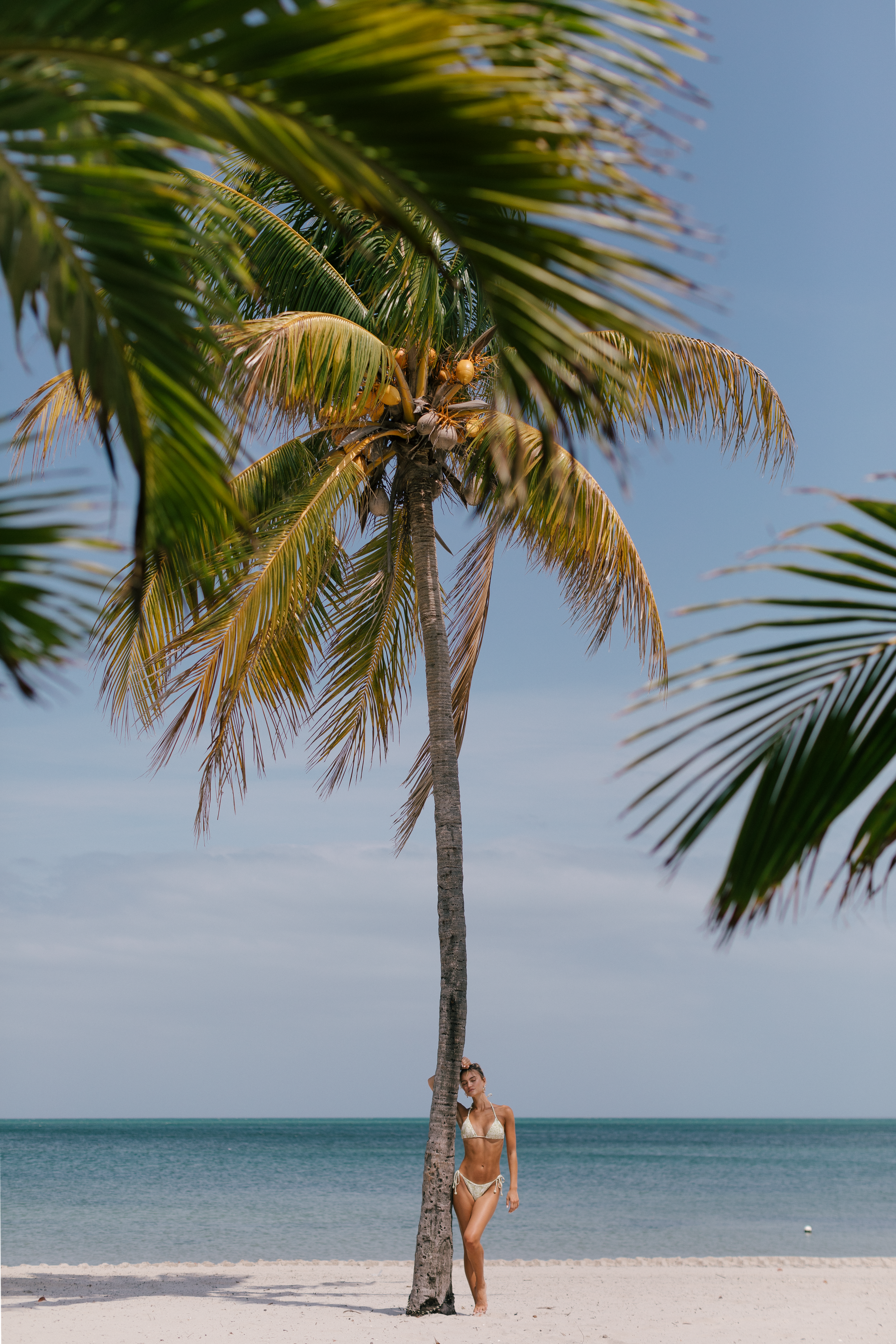 Palm tree sways over a pristine white sand beach with turquoise ocean waters in the background.