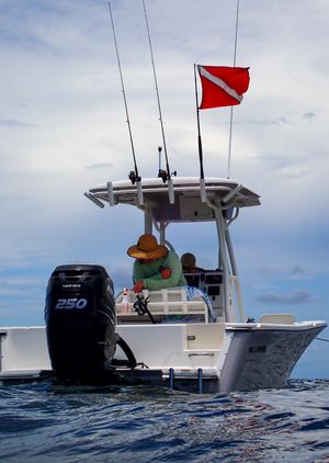 A Personal Connection to a Florida Past-time: Scallop Season - Heather