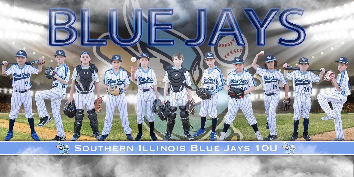 Blue Jays sports team banner with crowd scene and team branding elements.