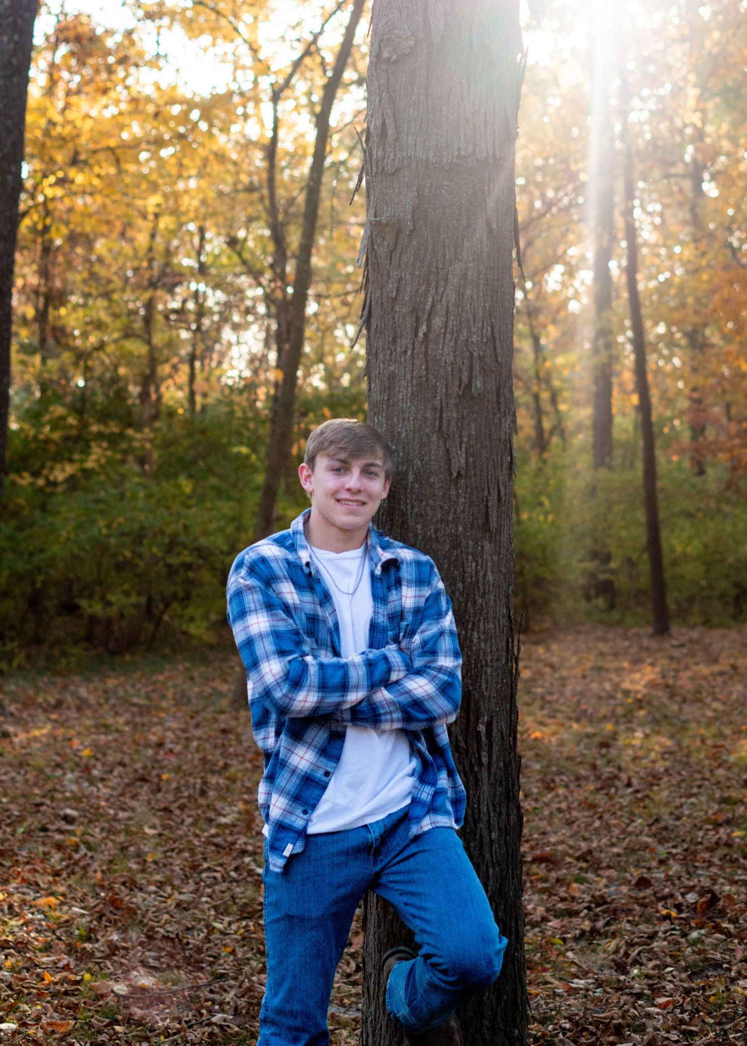 Casual autumn portrait series against tree trunks with blue plaid shirt and jeans in wooded setting.