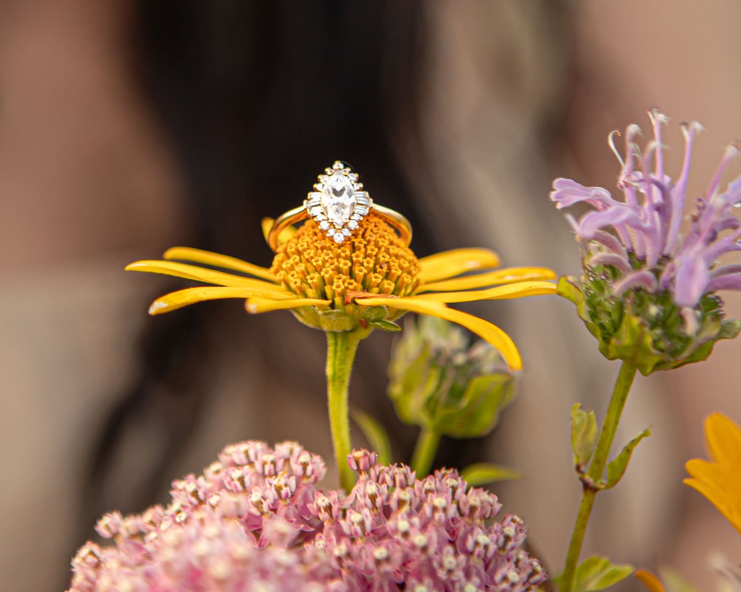 Close-up macro photography of colorful wildflowers including yellow daisies and purple blooms.