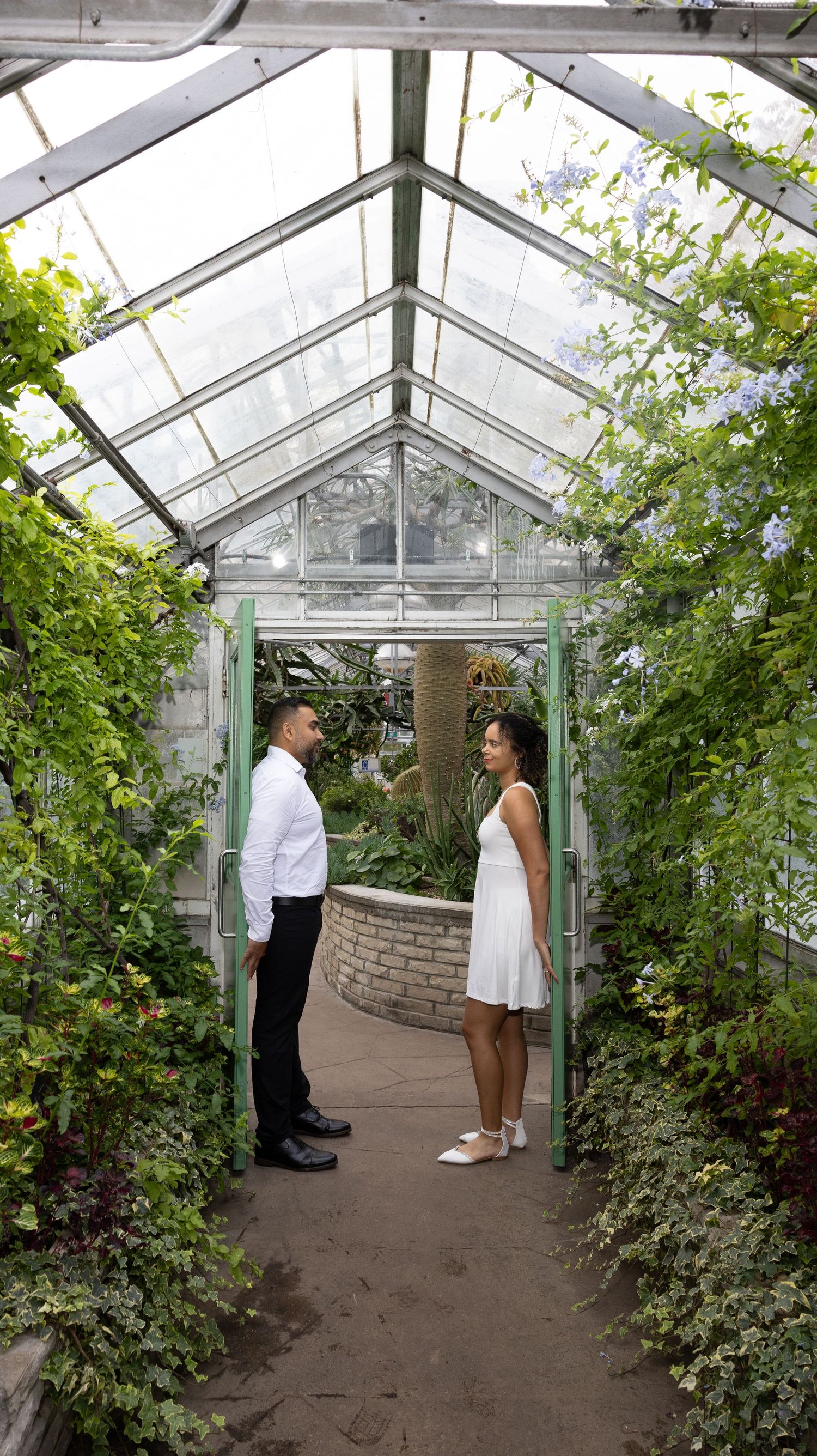 Couple stands facing each other in a glass greenhouse walkway surrounded by greenery.