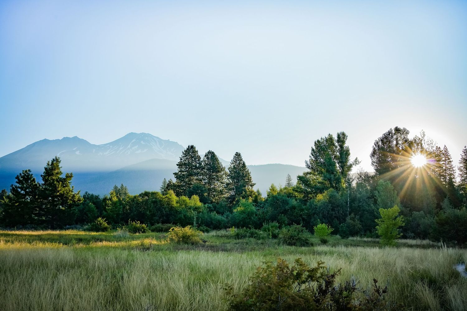 Sunburst through trees illuminates misty mountain landscape at Mount Shasta, California, USA with green meadow and forest in foreground.