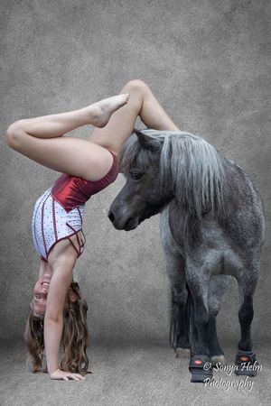A series of artistic photographs showing graceful ballet poses with a miniature pony against a gray backdrop.