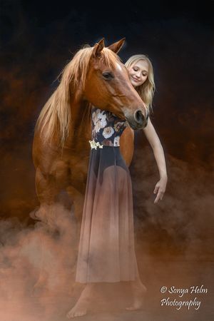 A chestnut horse and dancer in a flowing dress create an artistic composition in atmospheric fog.
