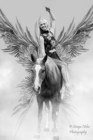 Artistic black and white photo series featuring a horse with ethereal wing effects added in post-processing.