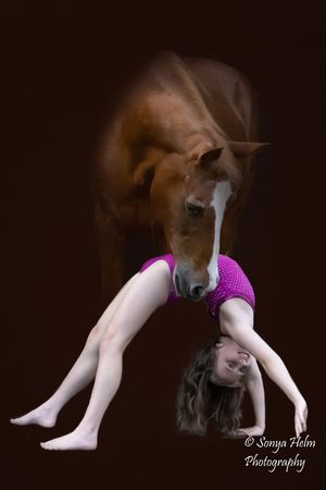 Dynamic dance poses captured in a dark studio with purple accents and flowing movement.