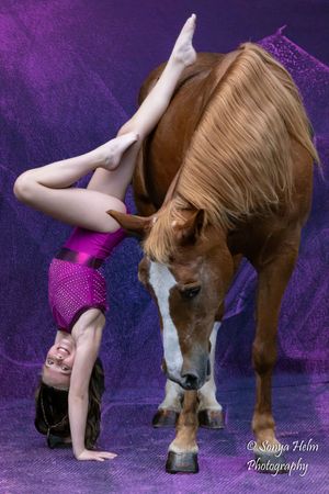 Artistic photo sequence shows a gymnast performing handstands and movements alongside a brown horse against purple backdrop.