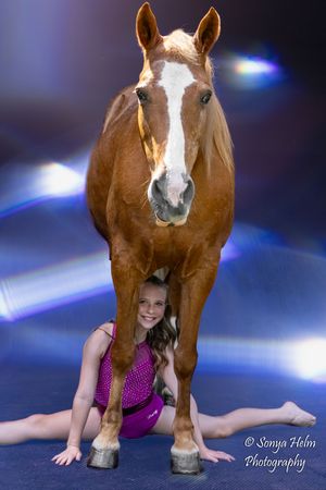 Series of dance poses with a brown and white horse against dramatic blue lighting.