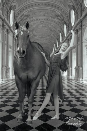 A creative black and white collage shows a horse and figures on a checkered floor in a grand baroque corridor.