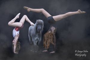 Artistic dance poses with a horse silhouetted against a dark studio background in multiple frames.