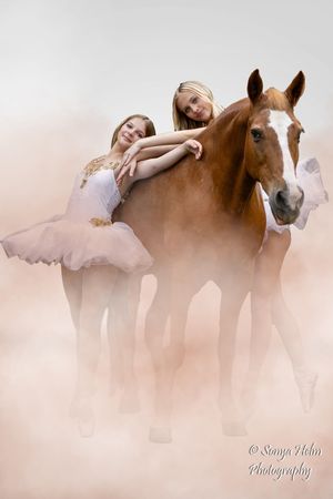 Two young dancers in tutus lean affectionately against a beautiful chestnut horse with a white blaze in a dreamy setting.