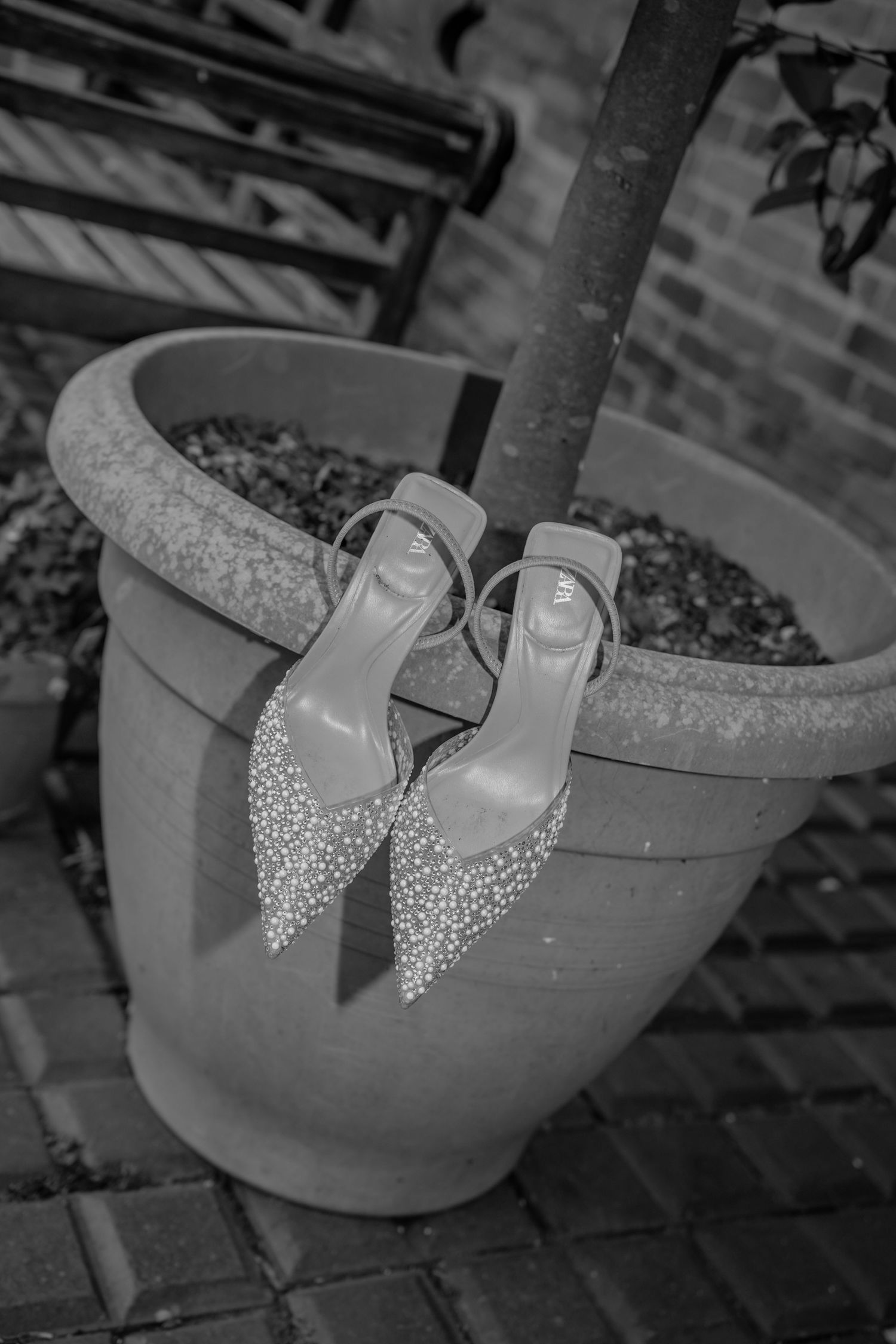 T&F Wedding.