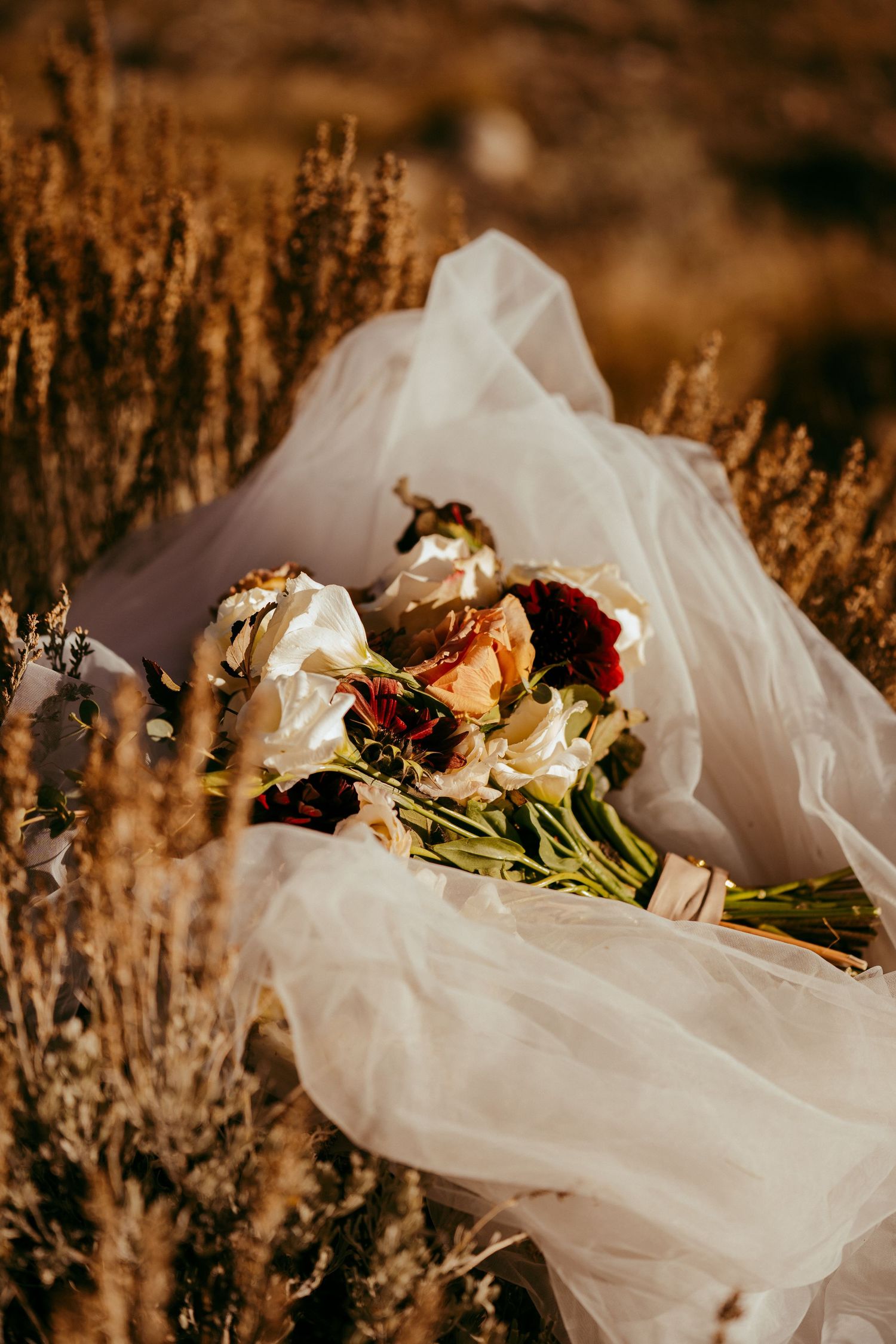 Romantic mountain wedding photo of a bride and groom sharing a kiss at sunset in a scenic meadow