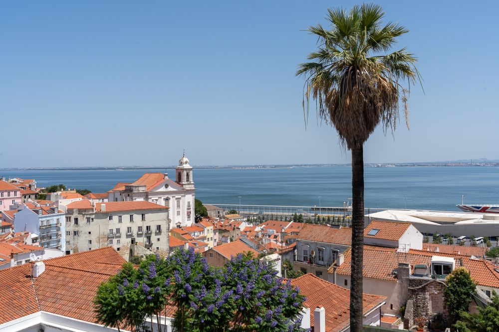 Panoramic view of Lisbon's Alfama district with terracotta roofs and a palm tree overlooking the sea.