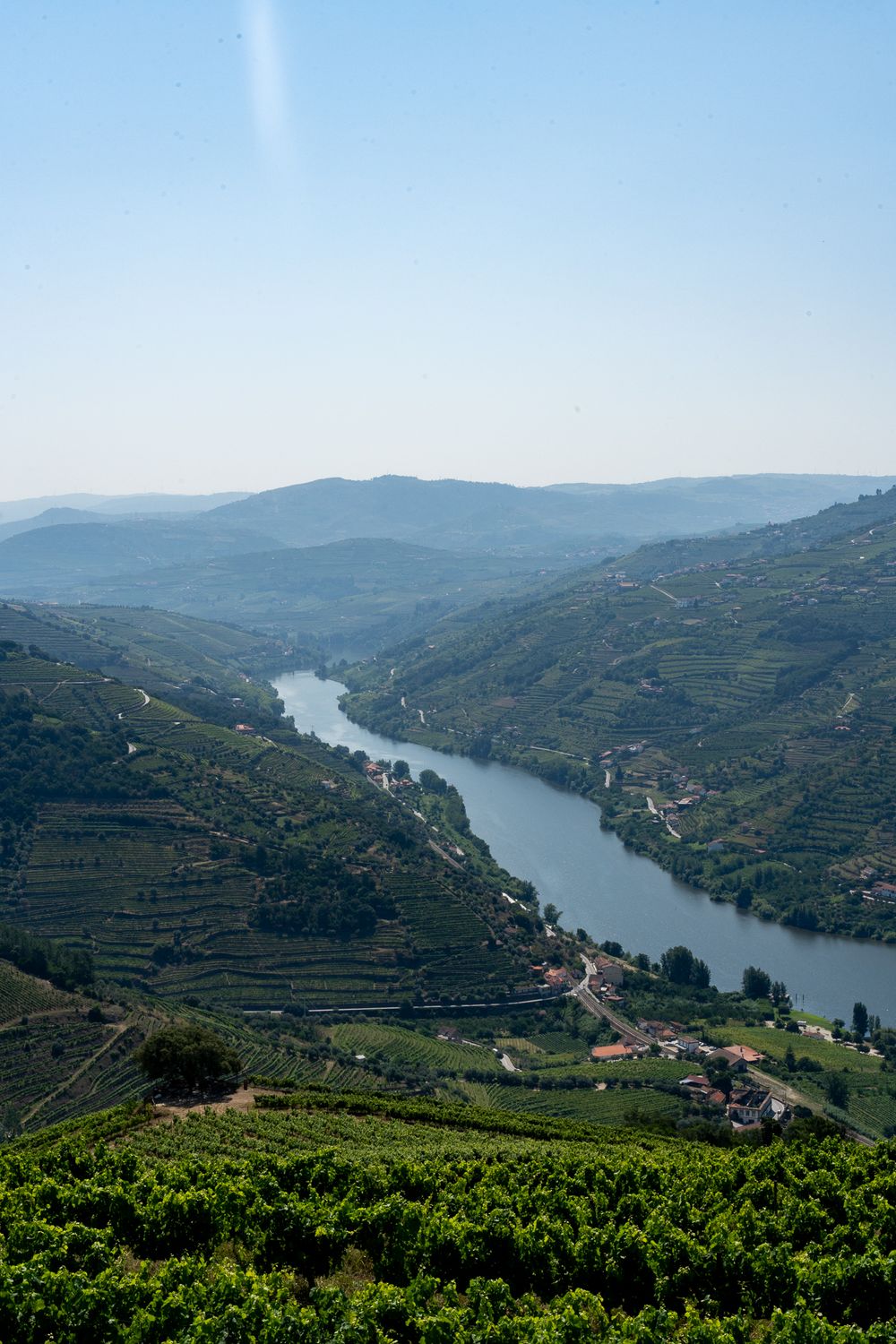 Stunning view of the Douro River valley with terraced vineyards stretching along steep hillsides.