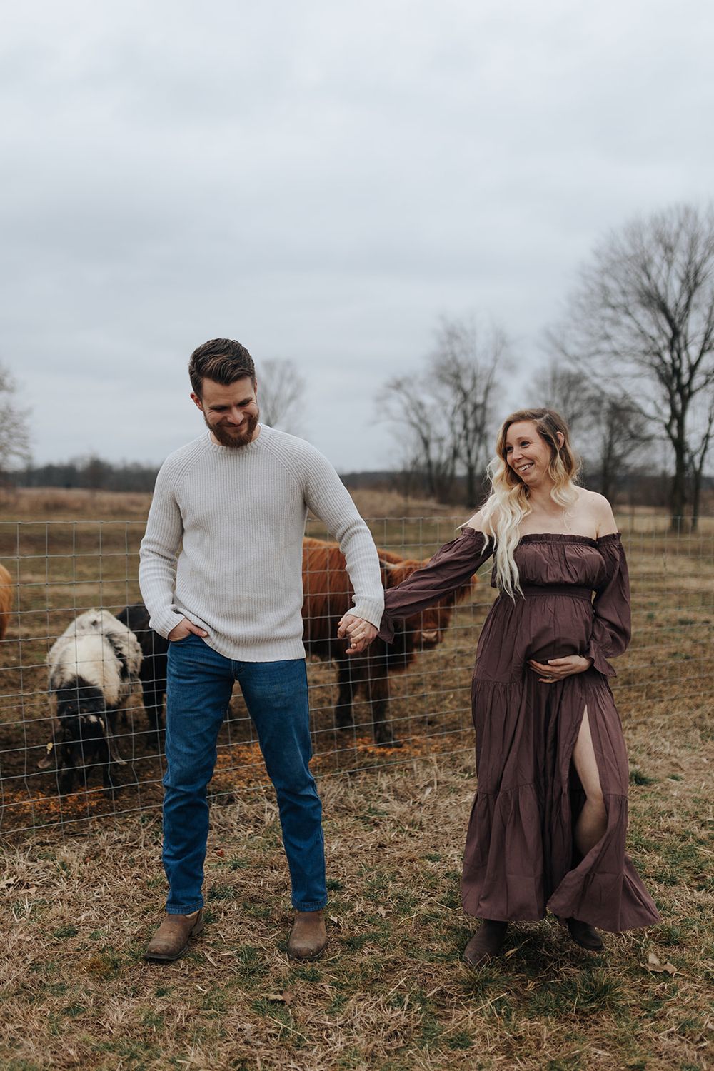 Maternity photos of woman and her husband holding hands, standing together on a farm with a backdrop of Highland cows.