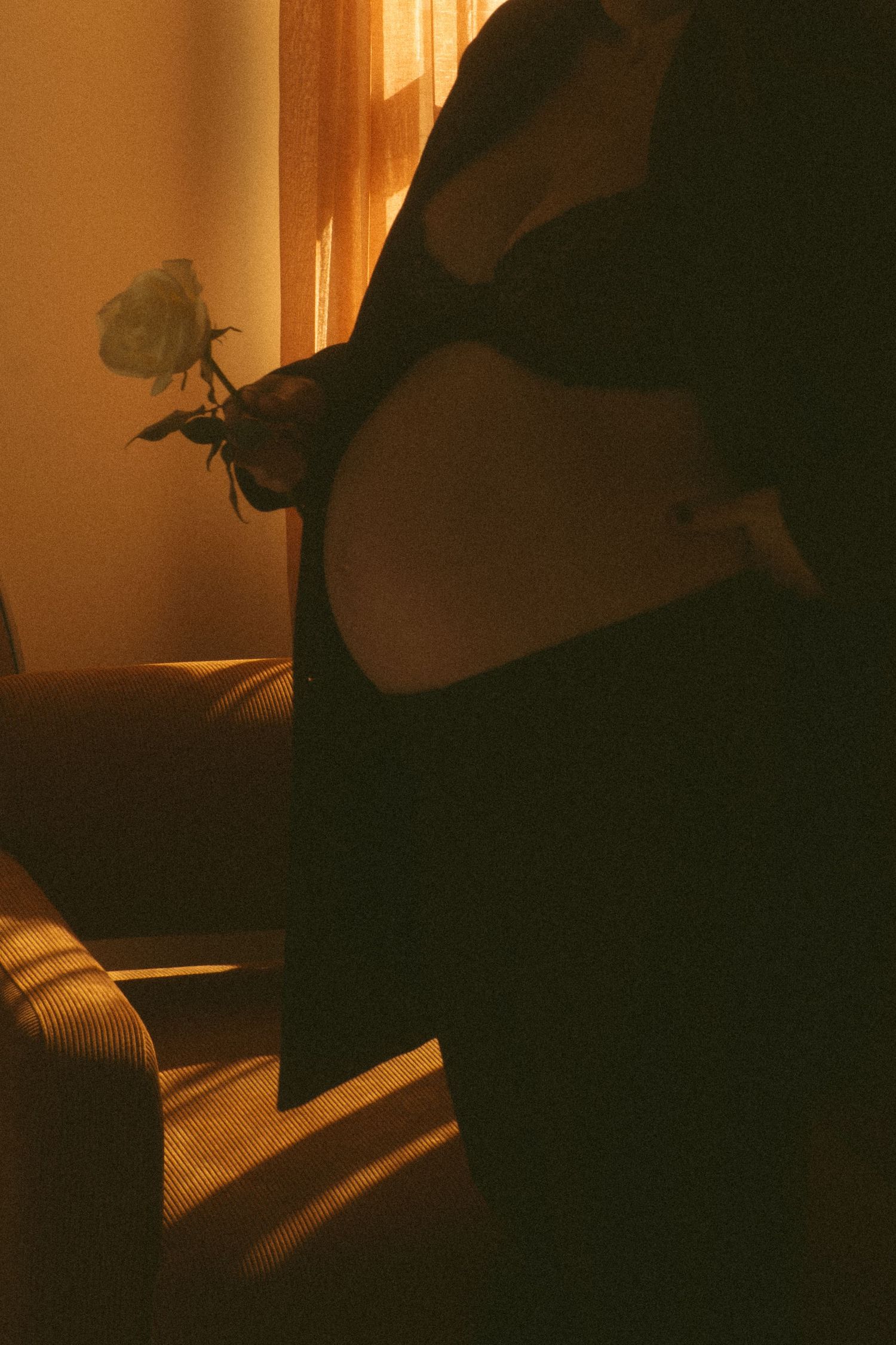 A silhouetted maternity photo in warm golden light holding a rose flower.