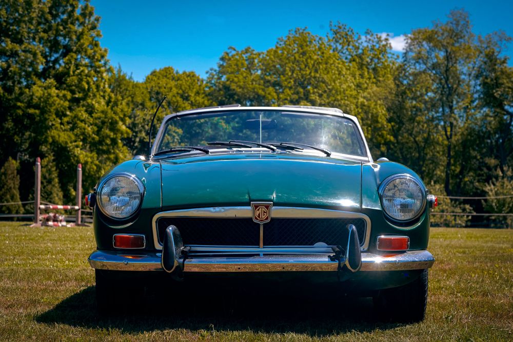 Panoramic view of classic Jaguar E-Type sports cars displayed on a sunny autumn field.