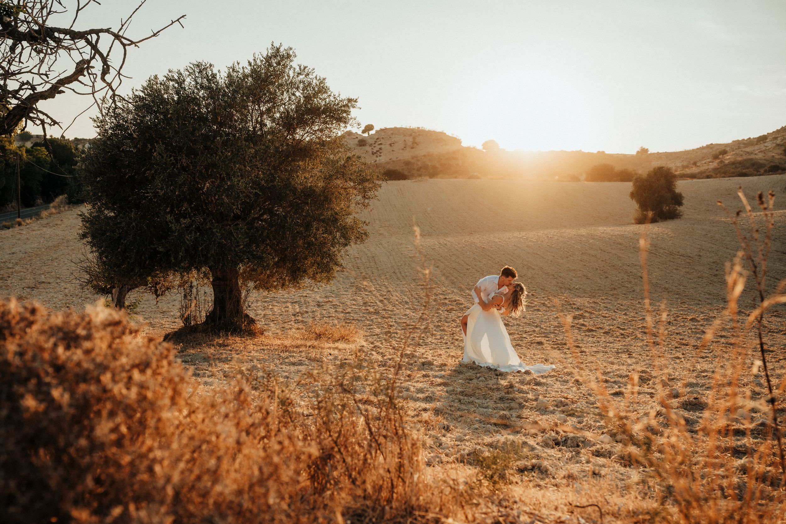 Golden hour wedding portrait in rustic field with lone tree silhouette.