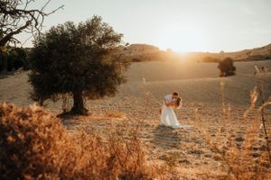 Golden hour wedding portrait in rustic field with lone tree silhouette.