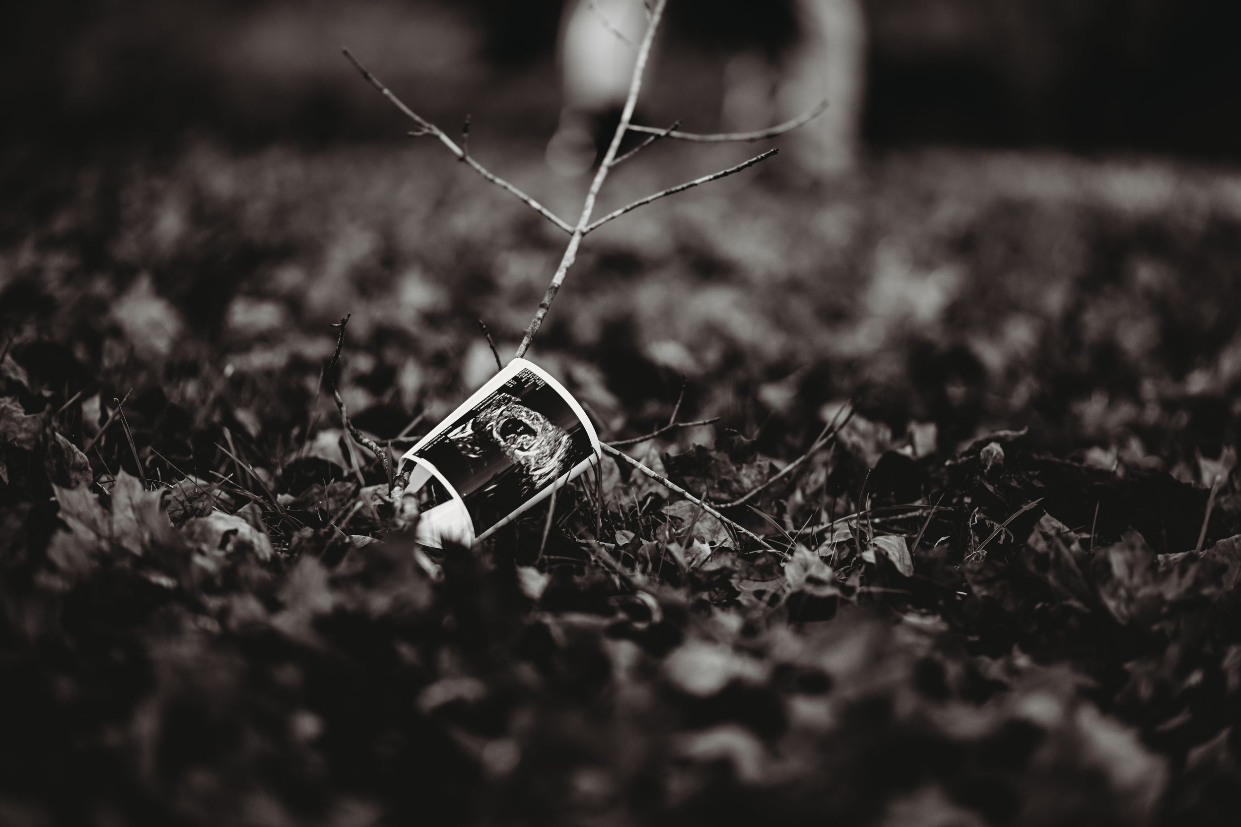 A black and white ultrasound photo lies artistically placed among fallen leaves.