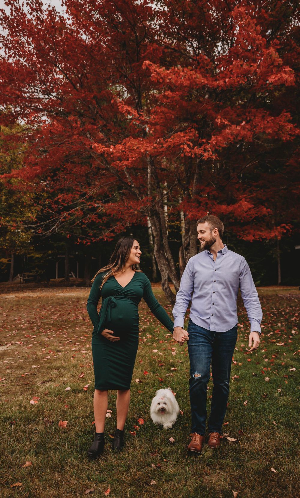 A couple walking their small white dog through autumn foliage with vibrant red maple trees in the background.