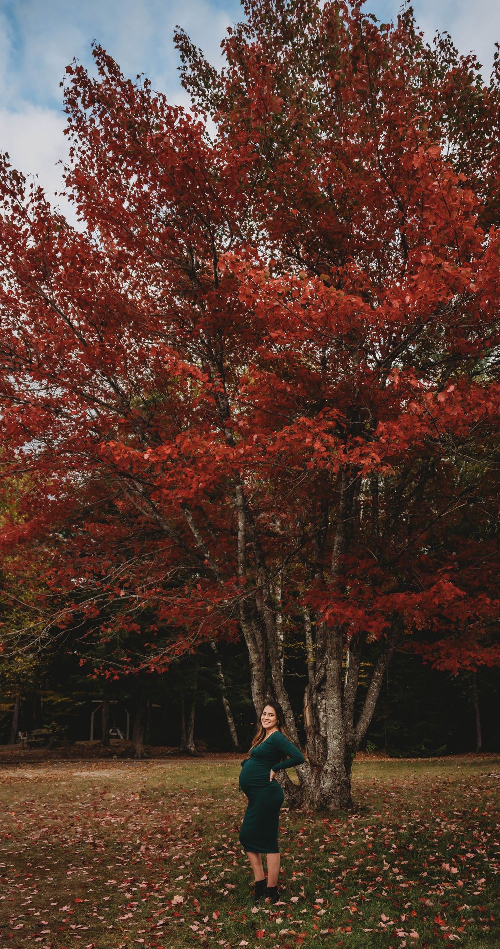 Beautiful autumn scene with vibrant red maple trees on a cloudy day, scattered leaves on ground beneath tall birch trunks.