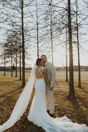 Wedding portrait among tall bare trees with long flowing veil and fitted dress at golden hour.