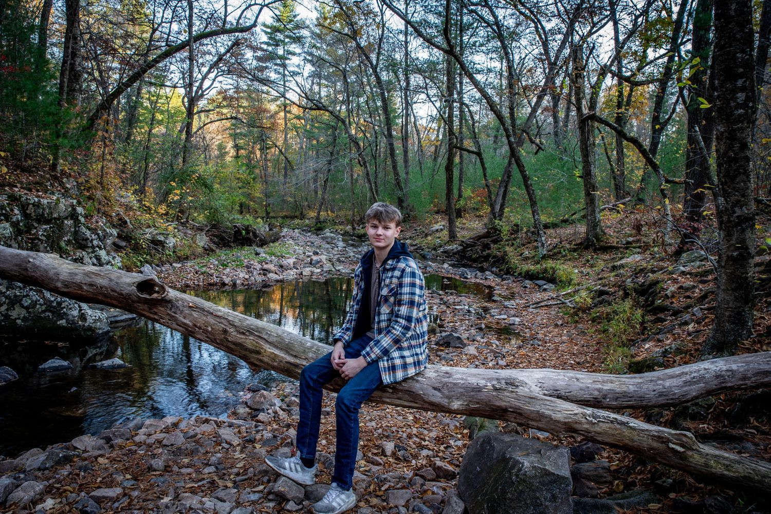 A tranquil forest stream with fallen logs and autumn foliage reflecting in the calm water.