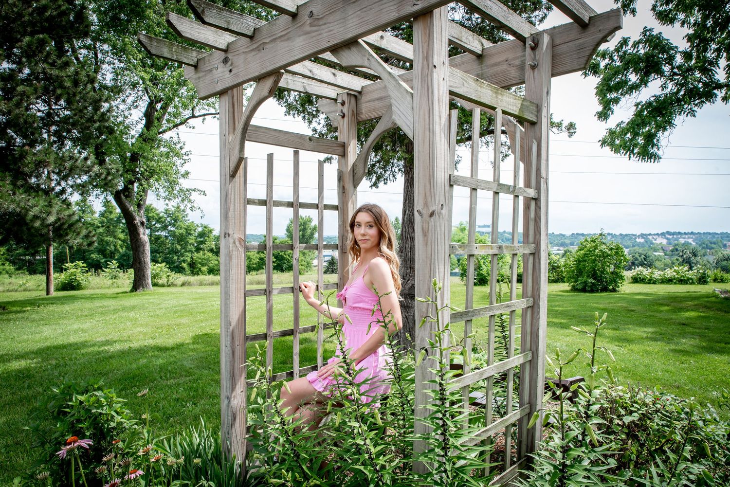 Rustic wooden gazebo with climbing vines offers a serene viewpoint overlooking rolling green countryside hills.
