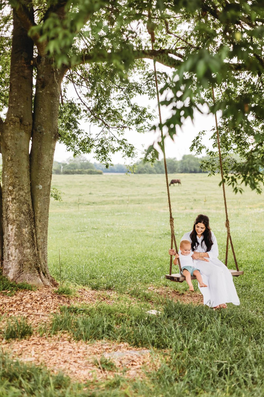 Child plays on wooden tree swing in serene countryside setting during golden hour in Hamden, CT.