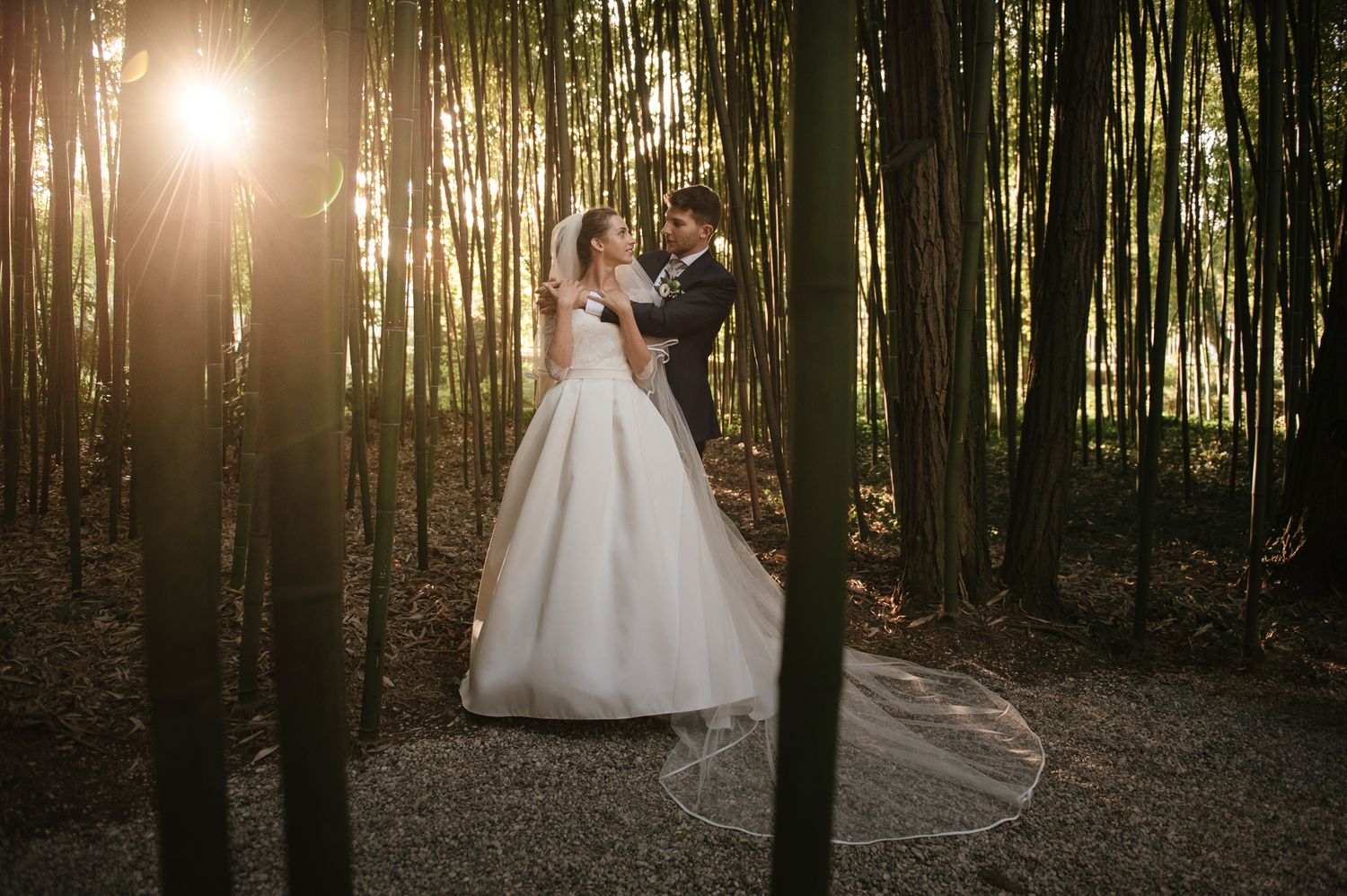 A bride and groom share a romantic embrace in a sunlit bamboo forest on their wedding day.