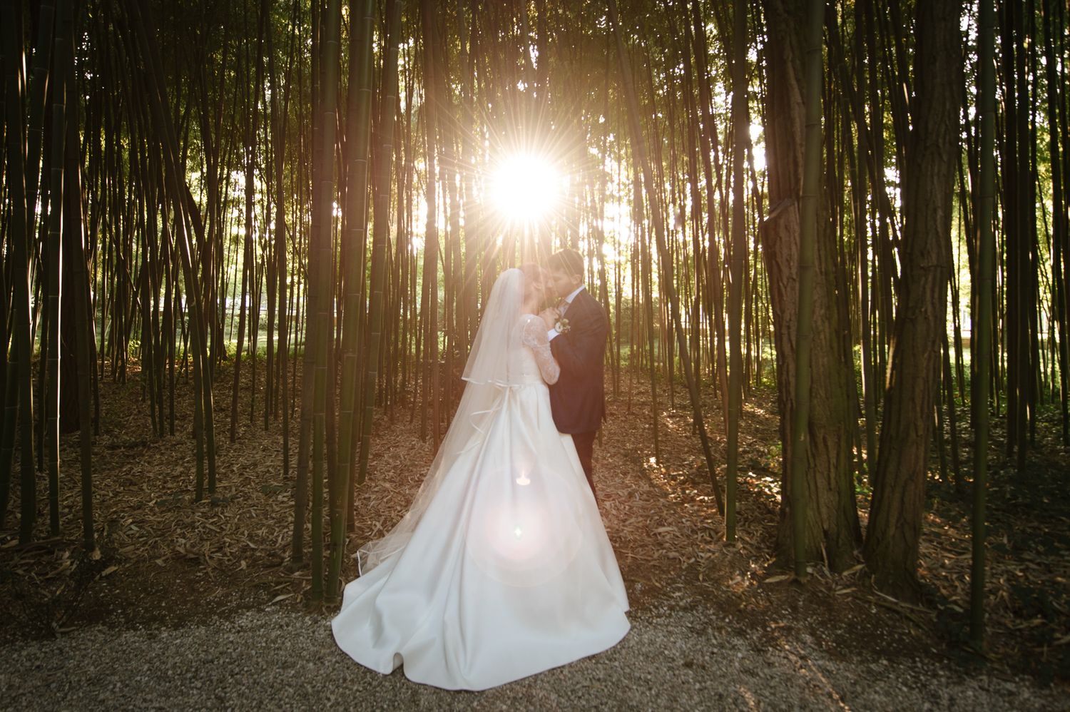 Bride and groom embracing in a bamboo forest with golden sunlight shining behind them.