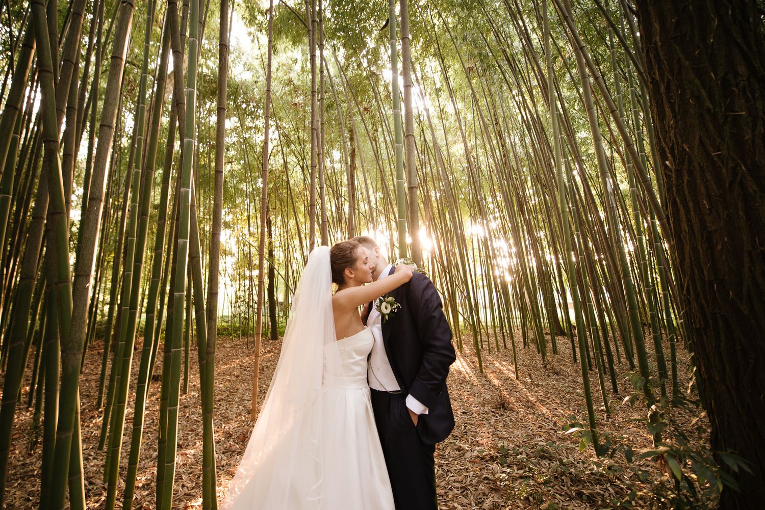 Bride and groom share a kiss surrounded by tall bamboo trees with sunlight filtering through.