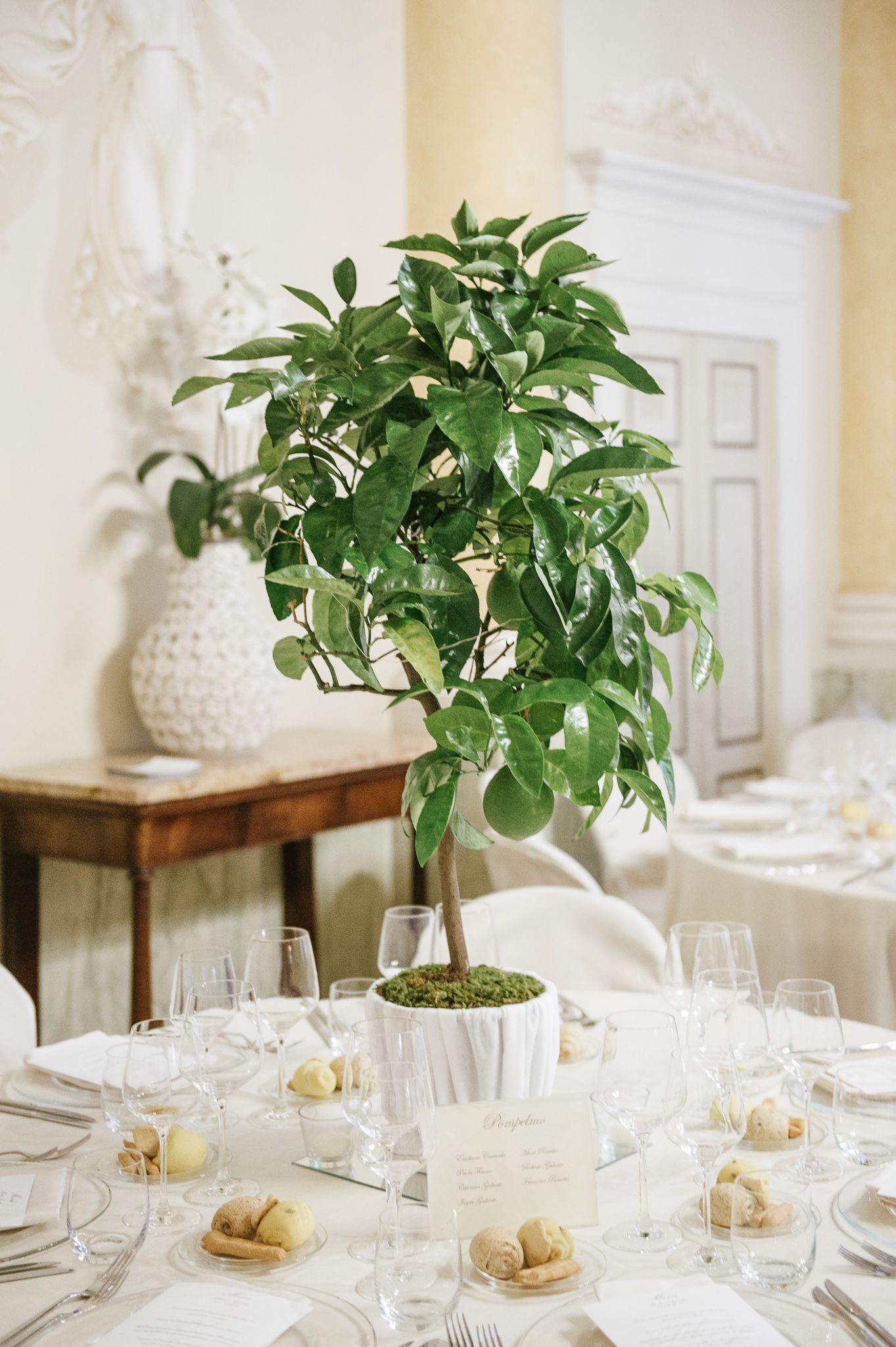 Elegant wedding reception table with a lemon tree centerpiece in a white pot, surrounded by glassware and place settings.