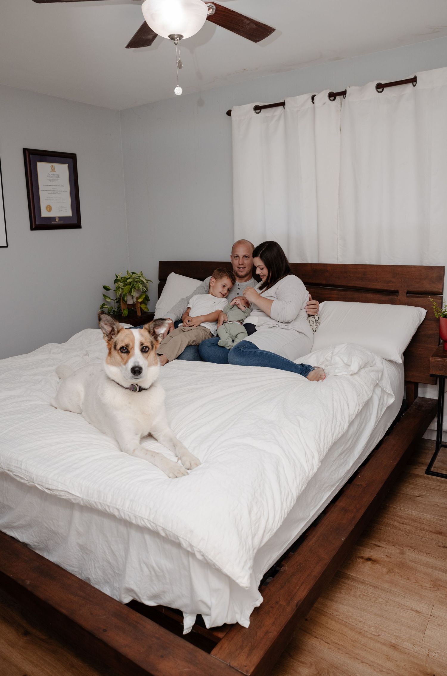 Family with young child and brown and white dog relaxing together on a large wooden bed with white bedding.