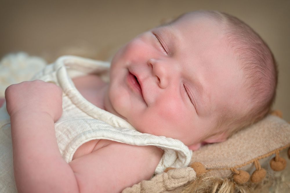 Mobiele studio newbornfotograaf halle; newbornfotograaf aan huis