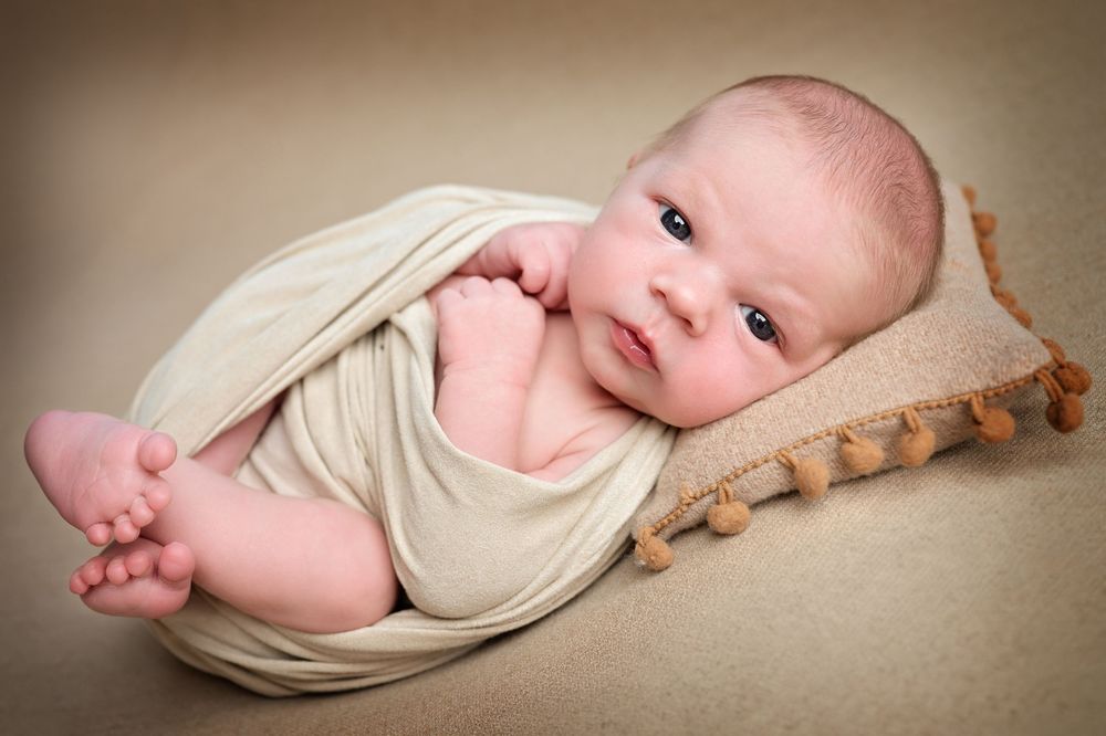 Mobiele studio newbornfotograaf halle; newbornfotograaf aan huis