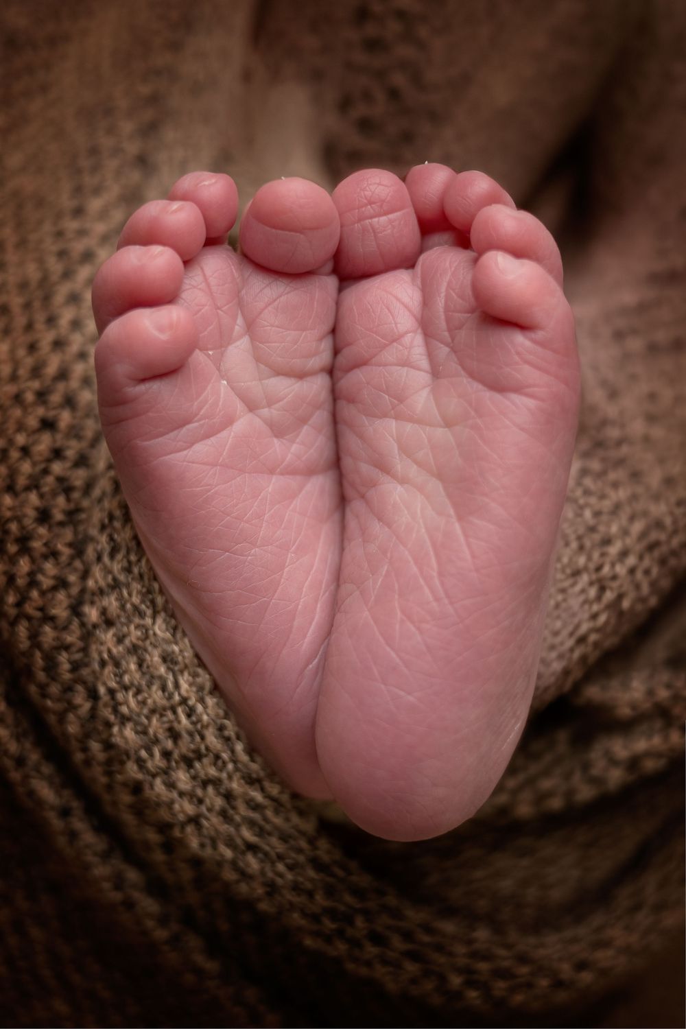 Mobiele studio newbornfotograaf halle; newbornfotograaf aan huis