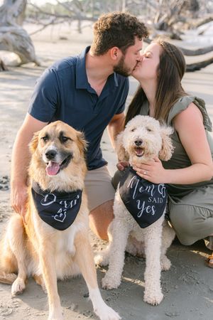 newly engaged couple kissing on driftwood beach, knelt down by their dogs who are wearing bandanas on driftwood beach engagement