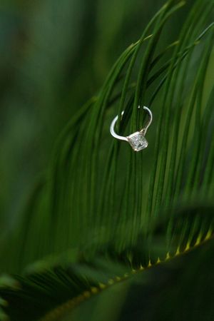 Proposal surprise engagement photography session, capturings the ring in the south georgia foliage on Sea Island Resort