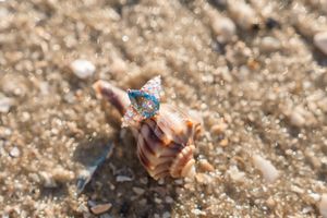 close up of beautiful blue stone engagement ring with lab grown diamonds on the beach of Jekyll Island. Luxury proposal experience pictures