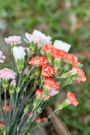 Picnic engagement session photograph captures engagement ring in a floral bouquet in the Golden Isles