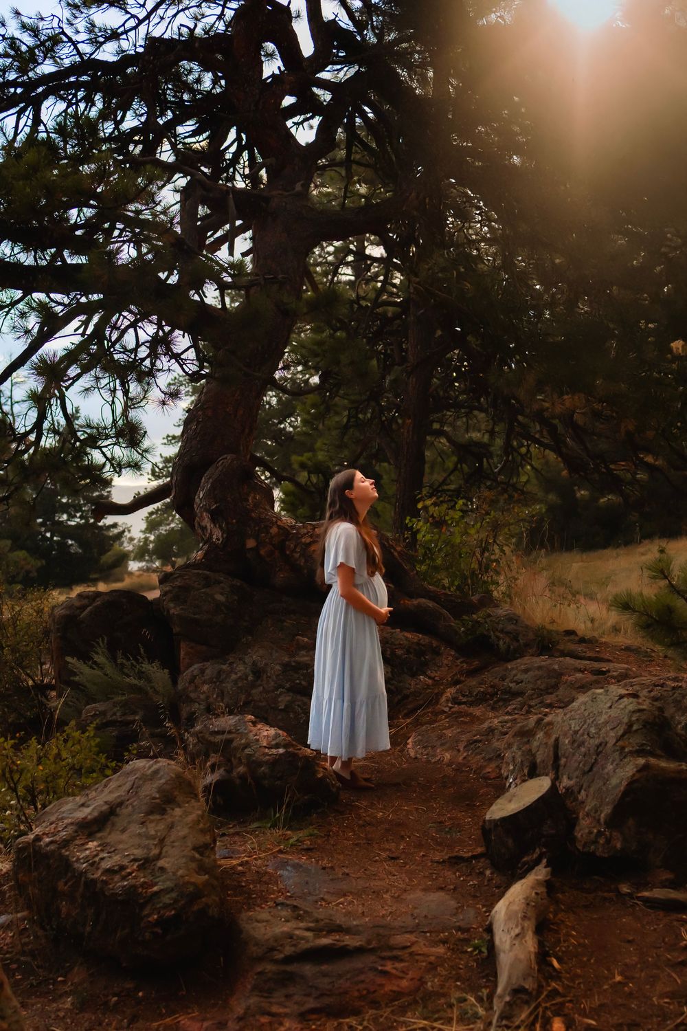 Woman in white dress standing among rocks and pine trees, bathed in golden sunlight in a forest setting.